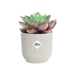 vibes fold round mini 9cm silky white